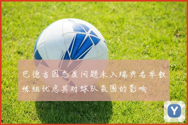 巴德吉因态度问题未入瑞典名单教练组忧虑其对球队氛围的影响